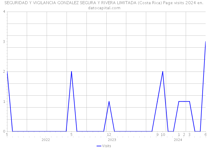 SEGURIDAD Y VIGILANCIA GONZALEZ SEGURA Y RIVERA LIMITADA (Costa Rica) Page visits 2024 