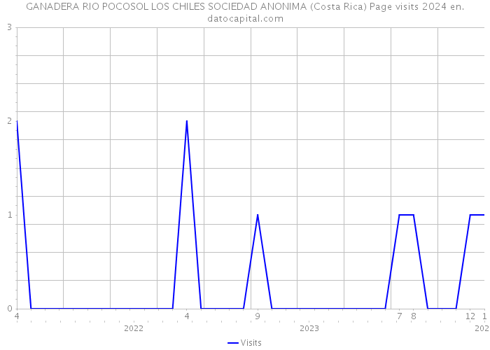 GANADERA RIO POCOSOL LOS CHILES SOCIEDAD ANONIMA (Costa Rica) Page visits 2024 