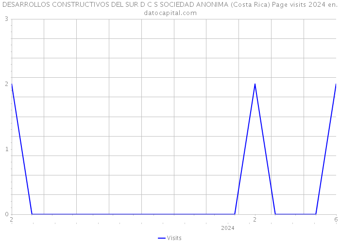 DESARROLLOS CONSTRUCTIVOS DEL SUR D C S SOCIEDAD ANONIMA (Costa Rica) Page visits 2024 
