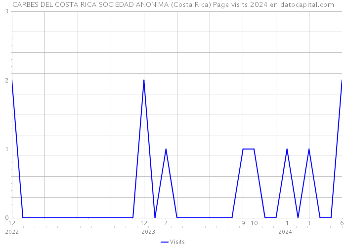 CARBES DEL COSTA RICA SOCIEDAD ANONIMA (Costa Rica) Page visits 2024 