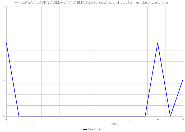 AMBER BAY LOOP SOCIEDAD ANONIMA (Costa Rica) Searches 2024 