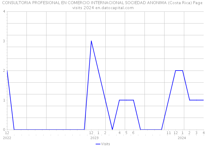 CONSULTORIA PROFESIONAL EN COMERCIO INTERNACIONAL SOCIEDAD ANONIMA (Costa Rica) Page visits 2024 