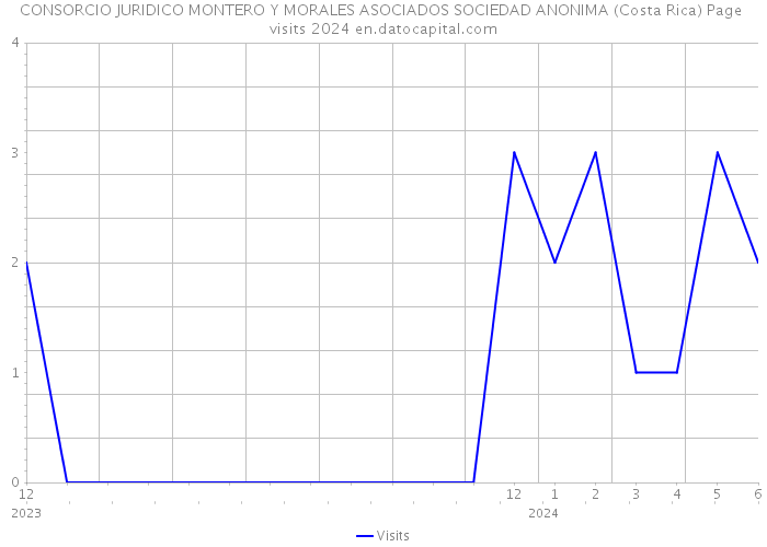 CONSORCIO JURIDICO MONTERO Y MORALES ASOCIADOS SOCIEDAD ANONIMA (Costa Rica) Page visits 2024 