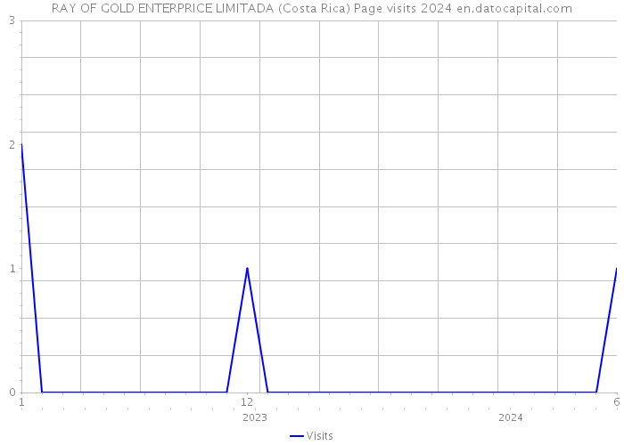 RAY OF GOLD ENTERPRICE LIMITADA (Costa Rica) Page visits 2024 