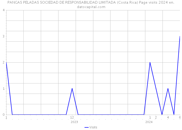 PANGAS PELADAS SOCIEDAD DE RESPONSABILIDAD LIMITADA (Costa Rica) Page visits 2024 