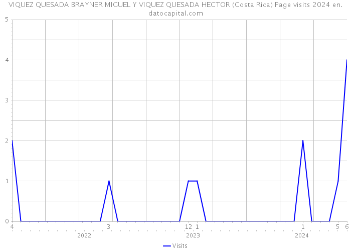 VIQUEZ QUESADA BRAYNER MIGUEL Y VIQUEZ QUESADA HECTOR (Costa Rica) Page visits 2024 