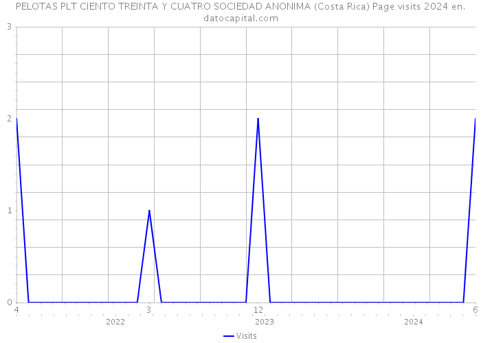 PELOTAS PLT CIENTO TREINTA Y CUATRO SOCIEDAD ANONIMA (Costa Rica) Page visits 2024 