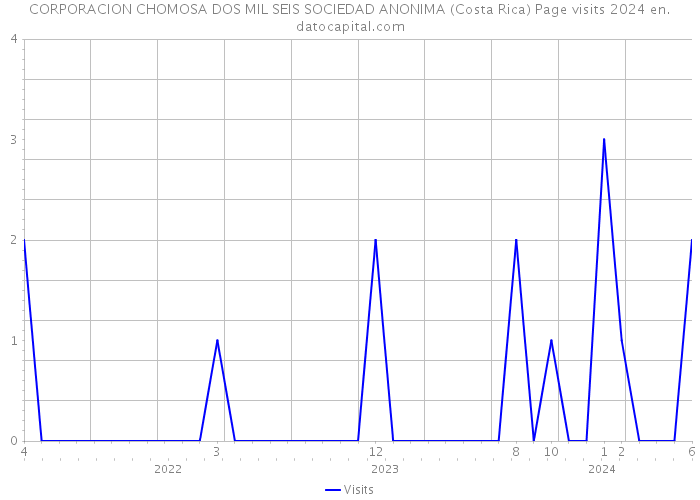 CORPORACION CHOMOSA DOS MIL SEIS SOCIEDAD ANONIMA (Costa Rica) Page visits 2024 