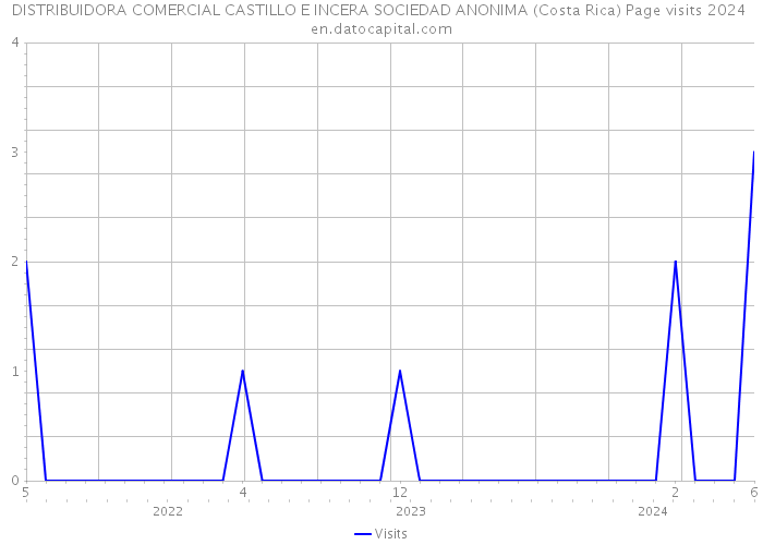DISTRIBUIDORA COMERCIAL CASTILLO E INCERA SOCIEDAD ANONIMA (Costa Rica) Page visits 2024 