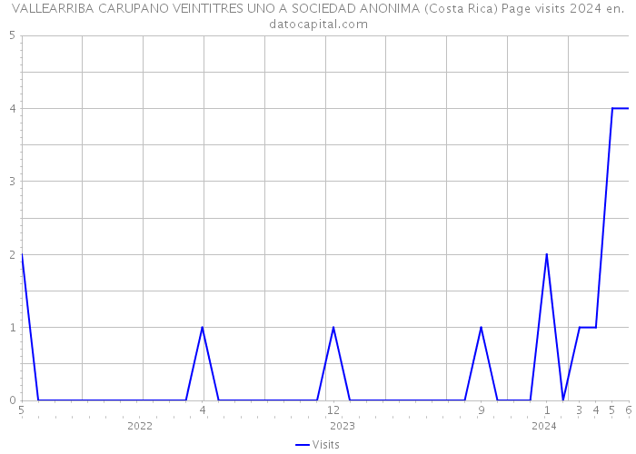 VALLEARRIBA CARUPANO VEINTITRES UNO A SOCIEDAD ANONIMA (Costa Rica) Page visits 2024 