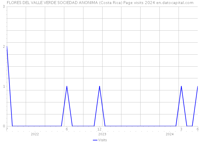 FLORES DEL VALLE VERDE SOCIEDAD ANONIMA (Costa Rica) Page visits 2024 