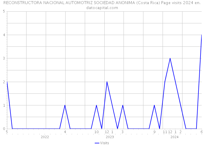 RECONSTRUCTORA NACIONAL AUTOMOTRIZ SOCIEDAD ANONIMA (Costa Rica) Page visits 2024 