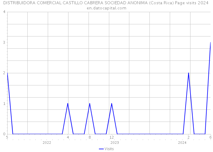 DISTRIBUIDORA COMERCIAL CASTILLO CABRERA SOCIEDAD ANONIMA (Costa Rica) Page visits 2024 
