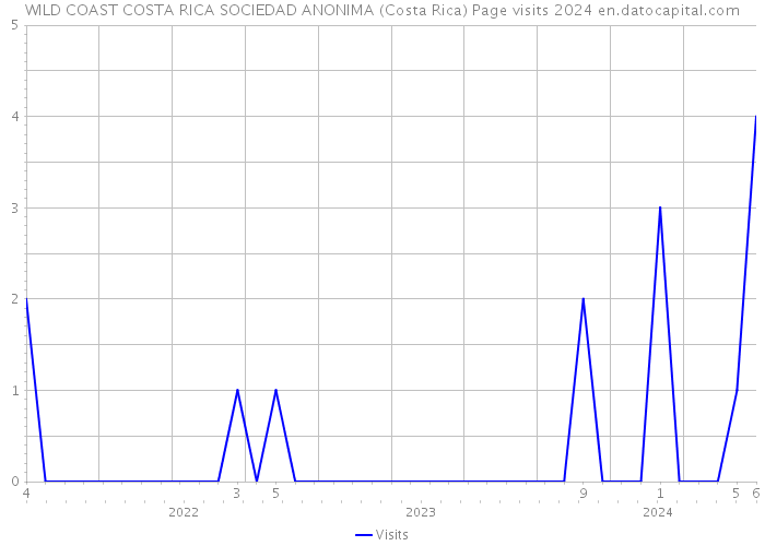 WILD COAST COSTA RICA SOCIEDAD ANONIMA (Costa Rica) Page visits 2024 