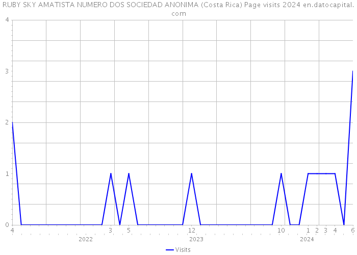 RUBY SKY AMATISTA NUMERO DOS SOCIEDAD ANONIMA (Costa Rica) Page visits 2024 