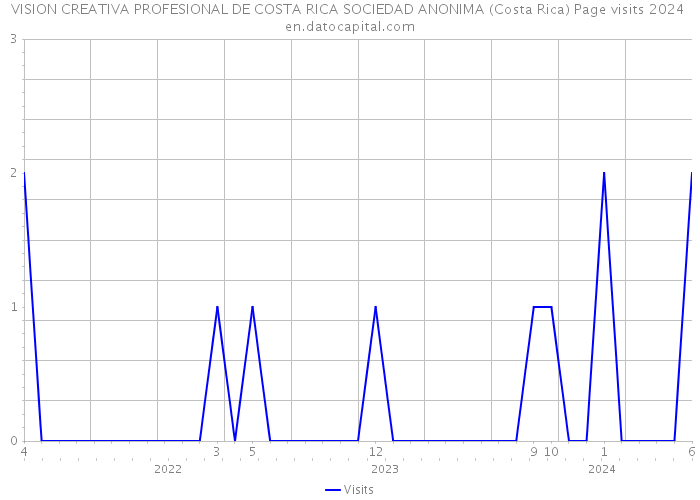 VISION CREATIVA PROFESIONAL DE COSTA RICA SOCIEDAD ANONIMA (Costa Rica) Page visits 2024 