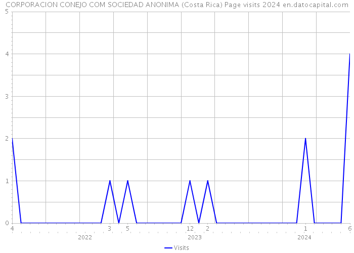CORPORACION CONEJO COM SOCIEDAD ANONIMA (Costa Rica) Page visits 2024 