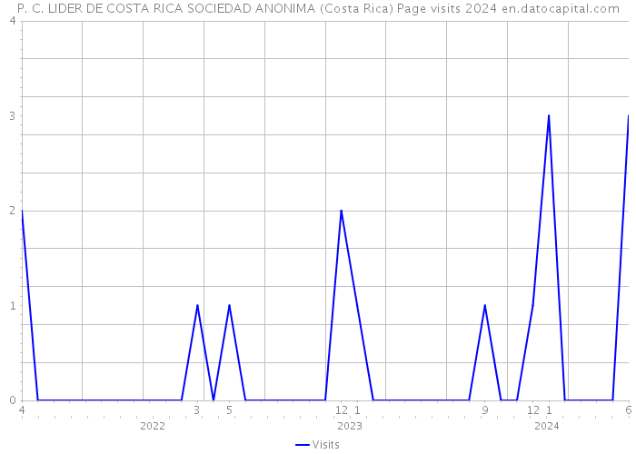 P. C. LIDER DE COSTA RICA SOCIEDAD ANONIMA (Costa Rica) Page visits 2024 