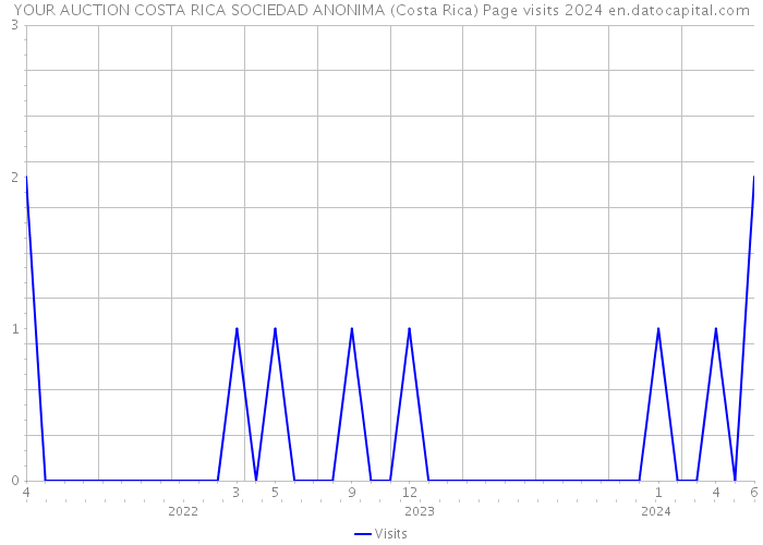 YOUR AUCTION COSTA RICA SOCIEDAD ANONIMA (Costa Rica) Page visits 2024 