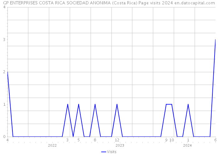 GP ENTERPRISES COSTA RICA SOCIEDAD ANONIMA (Costa Rica) Page visits 2024 