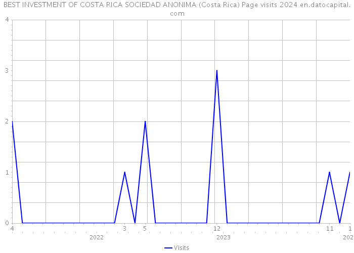 BEST INVESTMENT OF COSTA RICA SOCIEDAD ANONIMA (Costa Rica) Page visits 2024 