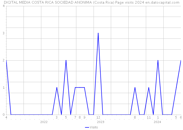 DIGITAL MEDIA COSTA RICA SOCIEDAD ANONIMA (Costa Rica) Page visits 2024 