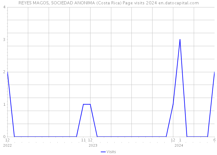REYES MAGOS, SOCIEDAD ANONIMA (Costa Rica) Page visits 2024 