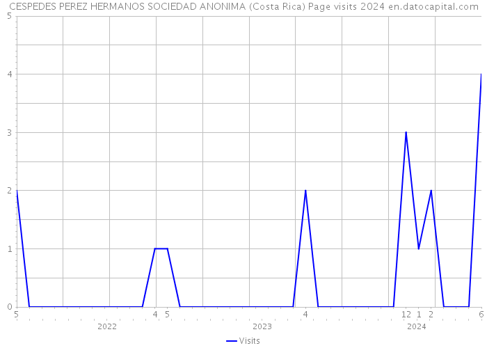 CESPEDES PEREZ HERMANOS SOCIEDAD ANONIMA (Costa Rica) Page visits 2024 