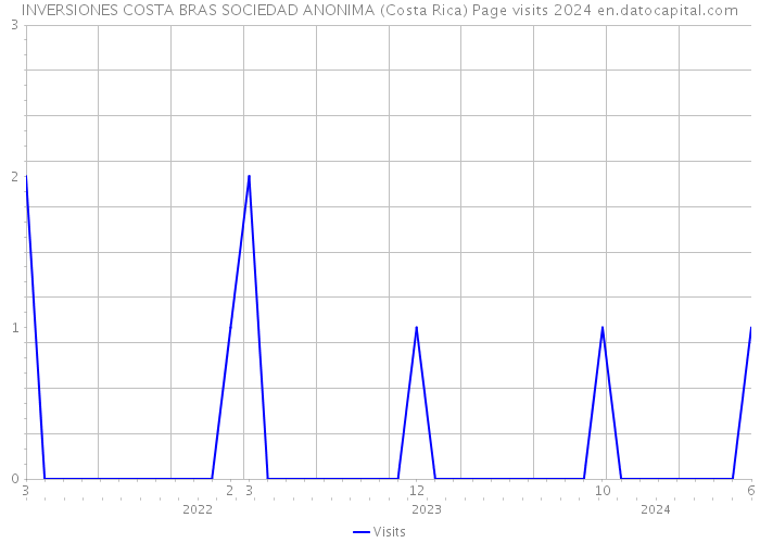 INVERSIONES COSTA BRAS SOCIEDAD ANONIMA (Costa Rica) Page visits 2024 