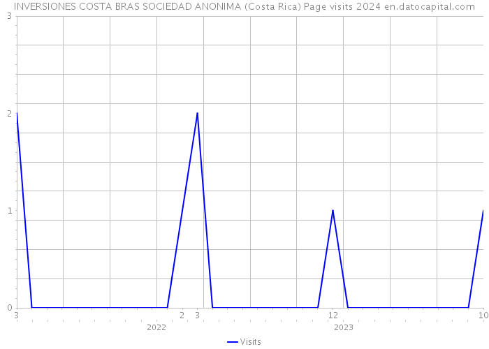 INVERSIONES COSTA BRAS SOCIEDAD ANONIMA (Costa Rica) Page visits 2024 