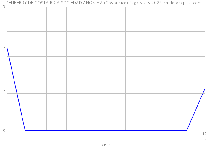 DELIBERRY DE COSTA RICA SOCIEDAD ANONIMA (Costa Rica) Page visits 2024 