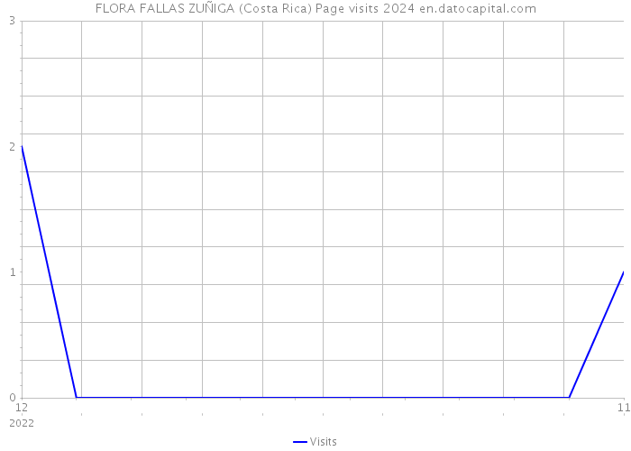 FLORA FALLAS ZUÑIGA (Costa Rica) Page visits 2024 