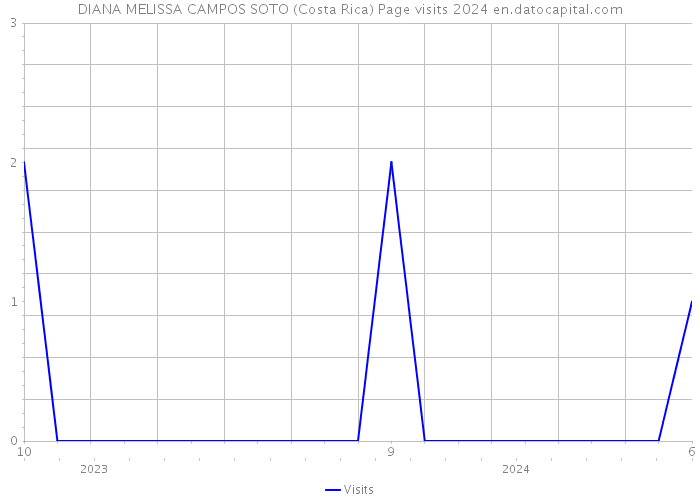 DIANA MELISSA CAMPOS SOTO (Costa Rica) Page visits 2024 