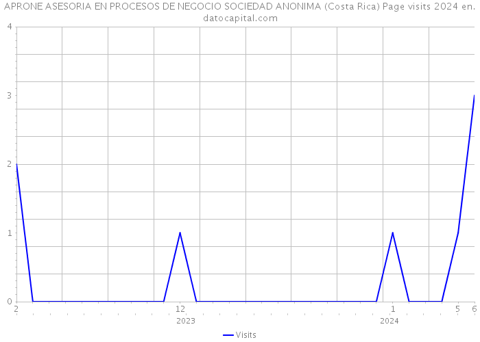 APRONE ASESORIA EN PROCESOS DE NEGOCIO SOCIEDAD ANONIMA (Costa Rica) Page visits 2024 