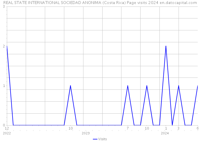 REAL STATE INTERNATIONAL SOCIEDAD ANONIMA (Costa Rica) Page visits 2024 