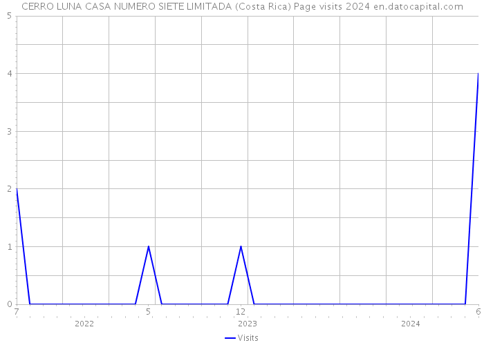 CERRO LUNA CASA NUMERO SIETE LIMITADA (Costa Rica) Page visits 2024 