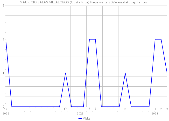MAURICIO SALAS VILLALOBOS (Costa Rica) Page visits 2024 