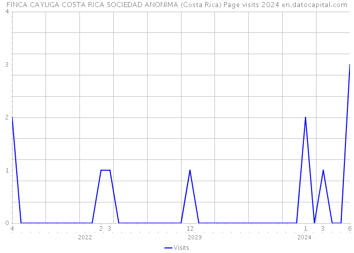 FINCA CAYUGA COSTA RICA SOCIEDAD ANONIMA (Costa Rica) Page visits 2024 