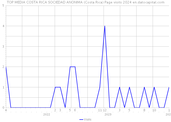 TOP MEDIA COSTA RICA SOCIEDAD ANONIMA (Costa Rica) Page visits 2024 