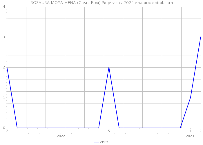 ROSAURA MOYA MENA (Costa Rica) Page visits 2024 