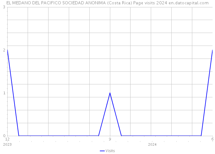 EL MEDANO DEL PACIFICO SOCIEDAD ANONIMA (Costa Rica) Page visits 2024 