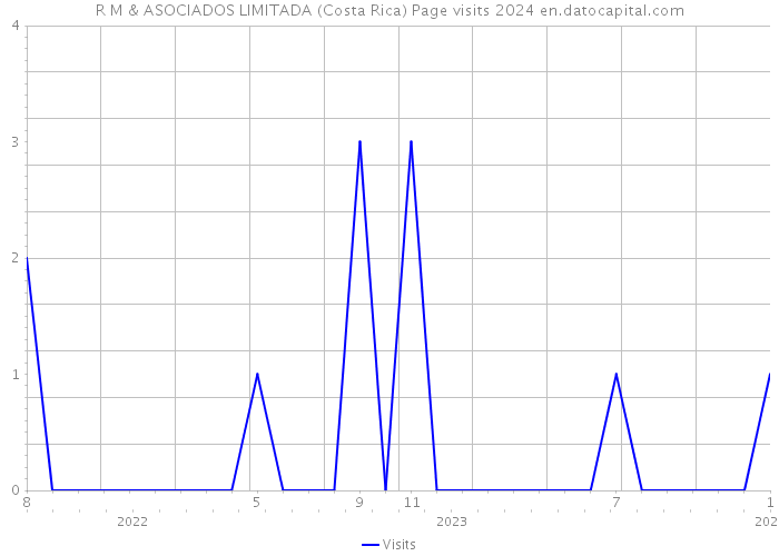 R M & ASOCIADOS LIMITADA (Costa Rica) Page visits 2024 