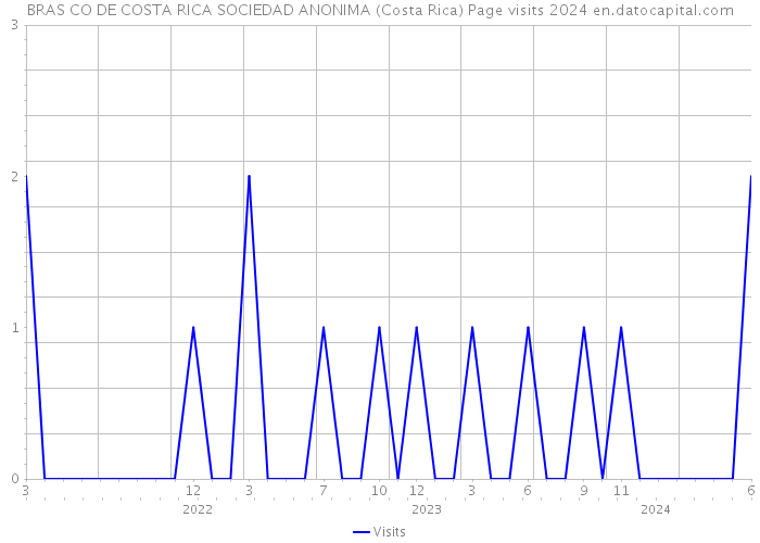 BRAS CO DE COSTA RICA SOCIEDAD ANONIMA (Costa Rica) Page visits 2024 