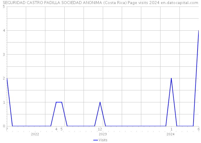SEGURIDAD CASTRO PADILLA SOCIEDAD ANONIMA (Costa Rica) Page visits 2024 