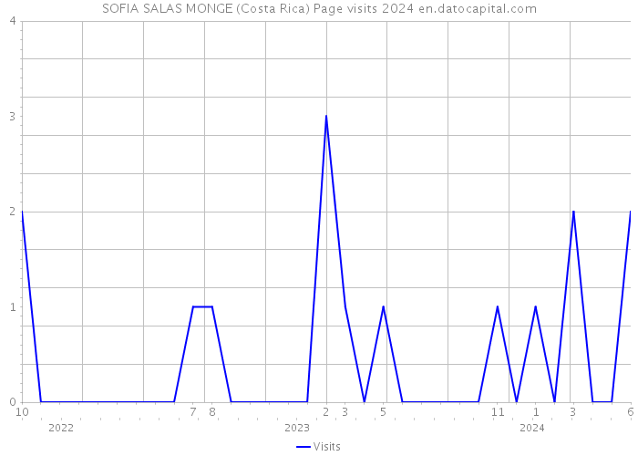 SOFIA SALAS MONGE (Costa Rica) Page visits 2024 