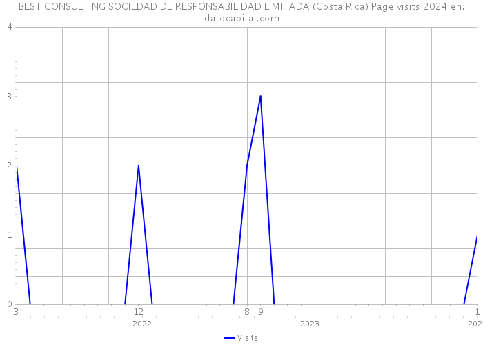 BEST CONSULTING SOCIEDAD DE RESPONSABILIDAD LIMITADA (Costa Rica) Page visits 2024 