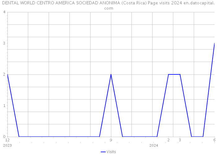 DENTAL WORLD CENTRO AMERICA SOCIEDAD ANONIMA (Costa Rica) Page visits 2024 