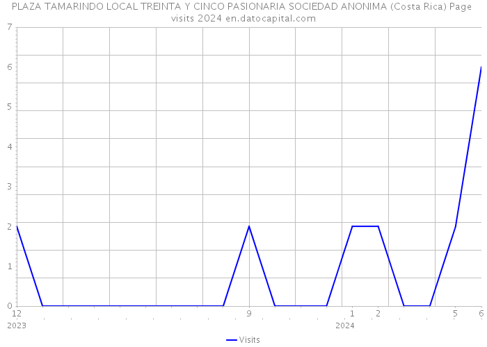 PLAZA TAMARINDO LOCAL TREINTA Y CINCO PASIONARIA SOCIEDAD ANONIMA (Costa Rica) Page visits 2024 