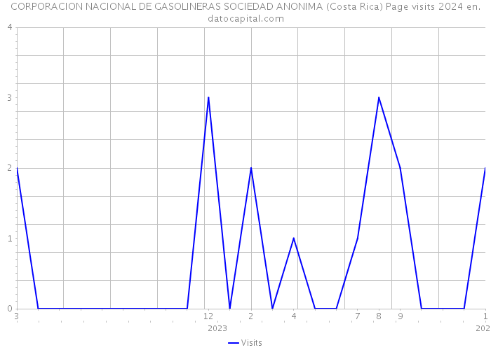 CORPORACION NACIONAL DE GASOLINERAS SOCIEDAD ANONIMA (Costa Rica) Page visits 2024 
