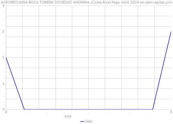 AGROPECUARIA BOCA TOREŃA SOCIEDAD ANONIMA (Costa Rica) Page visits 2024 